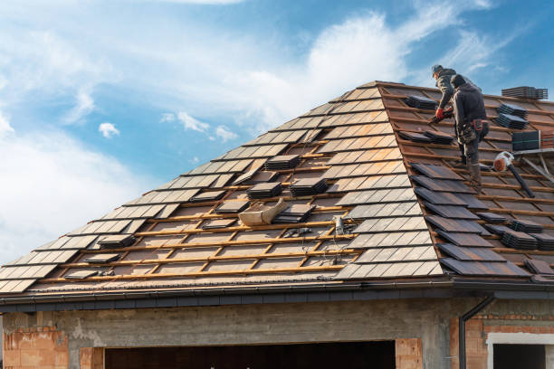 Best Skylight Installation and Repair  in Lyndhurst, VA